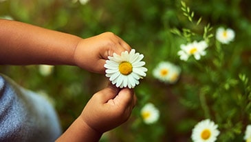 Apoyo a las comunidades locales