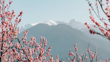 Paysage Mont-Canigou