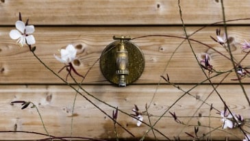 Valeur ajoutée Saint Cyprien