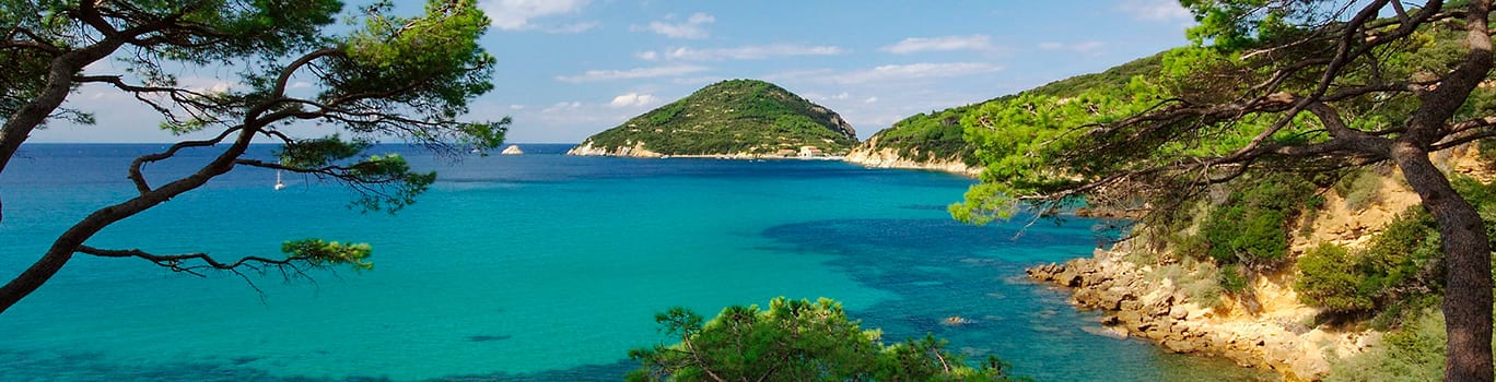Mediterranean & Indian Ocean