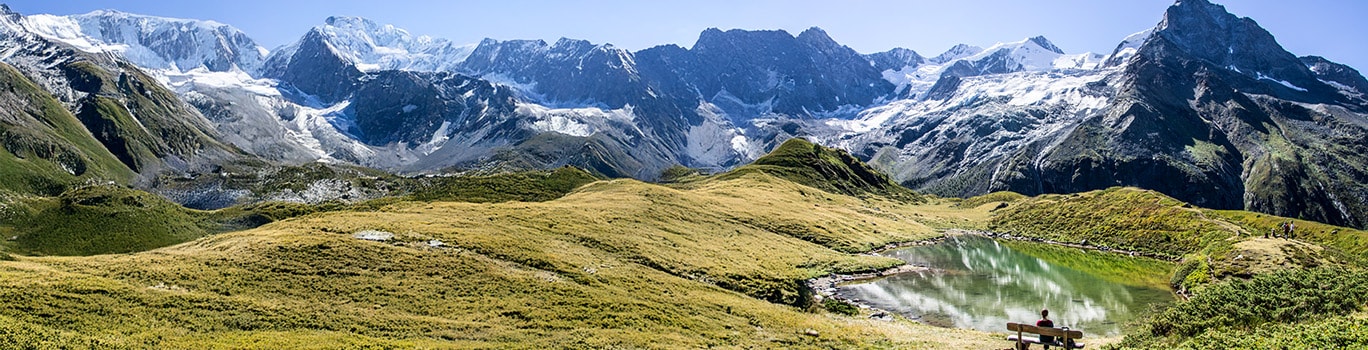 Favoritos a precio especial