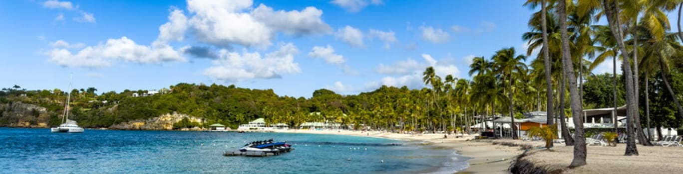Caraibi