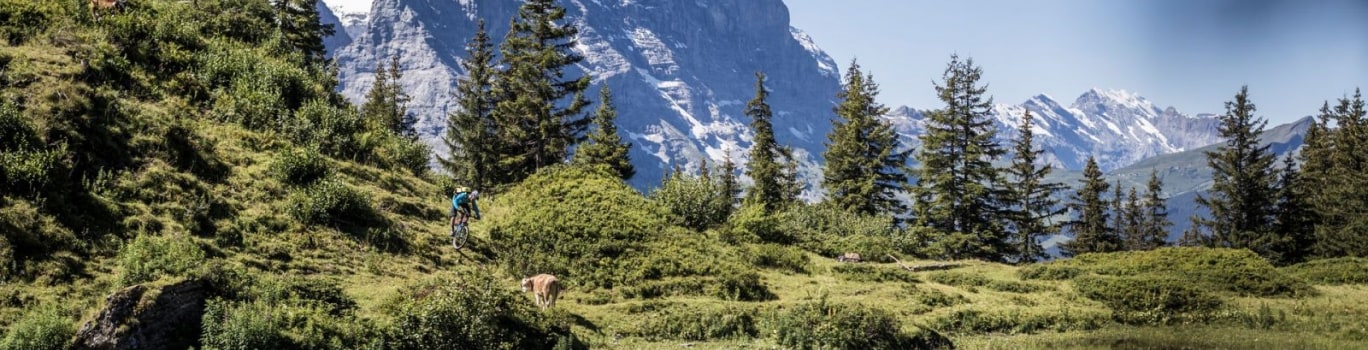 Week-end en Suisse pas cher