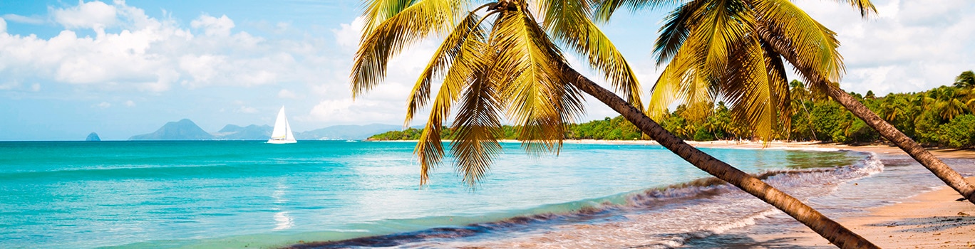 Escape to the sunshine of the Caribbean!