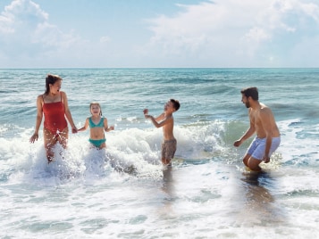 Vacaciones de verano